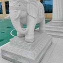九江 白麻花岗岩动物异形石雕-大象